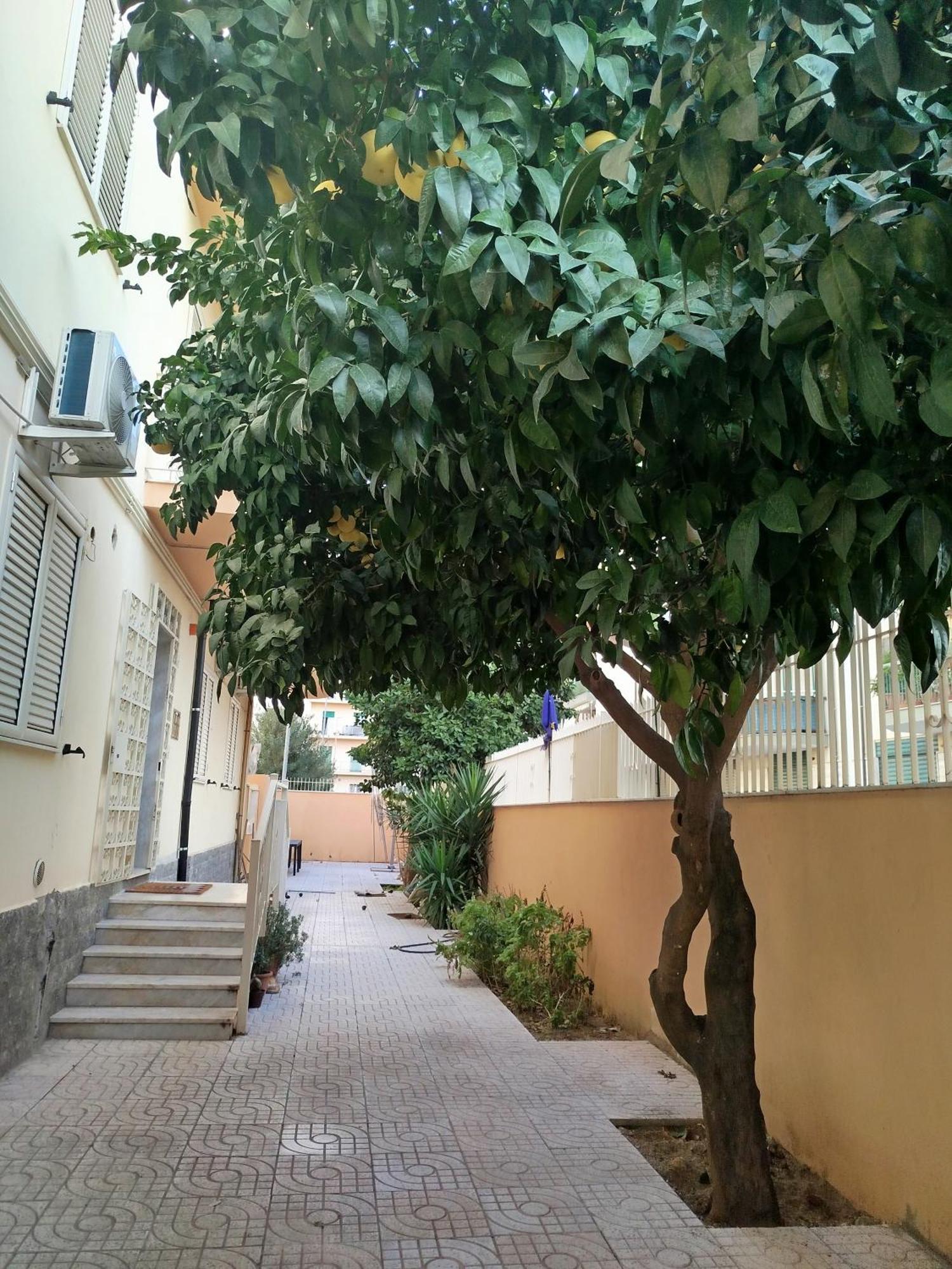 B&B Confort Reggio di Calabria Ngoại thất bức ảnh